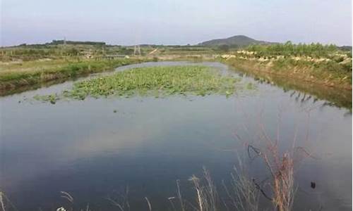 文登界石镇发展前景_山东文登界石镇天气