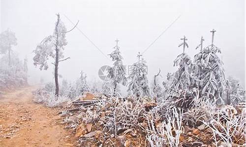 博皓牙刷怎么样_广东大雪过后天气