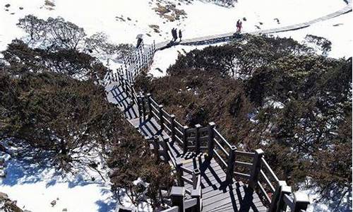 轿子雪山未来一周天气预报_骄子轿子雪山天气预报