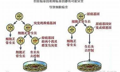 天气热能引起什么病_天气热会得癌症吗吗